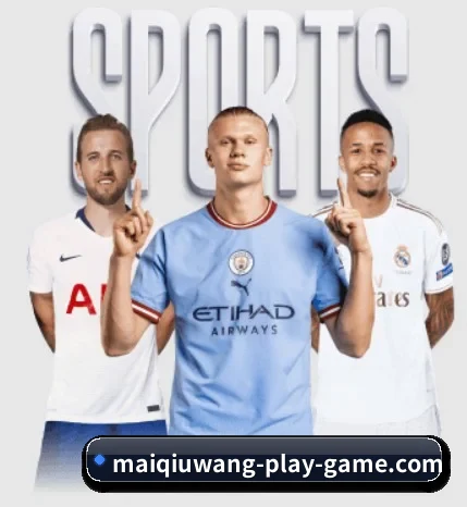 五大服务分区,信息按项目分类（pg）